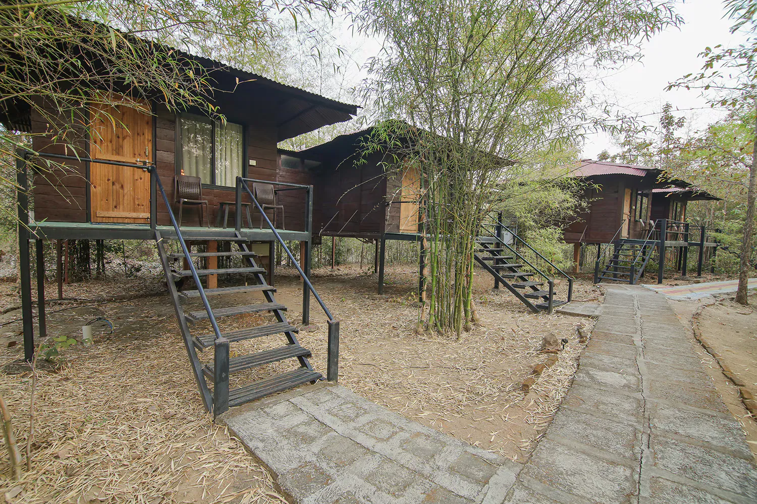 Pench Wilderness Camp - Affordable Tented Adventure in Pench